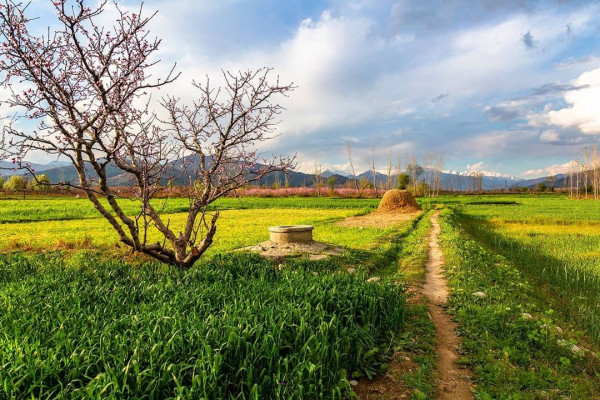 7 Days 2023 Summer Tour Package to Swat Valley Pakistan