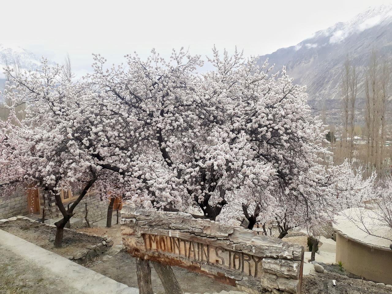 Mountain Story Hunza